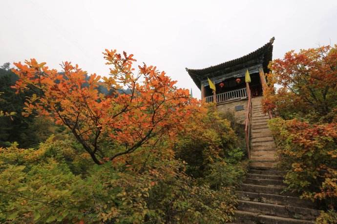 興隆山位于蘭州市榆中縣城西南五公里處,距蘭州市60公里。古因“常有白云浩渺無際”而取名“棲云山”。早在西周時已成為道人鑿洞修行之地,清康熙年間取復興之意,改名“興隆山”。本世紀五十年代,全山亭臺樓閣以及廟宇就達70多處,景點24處,成為佛、道勝地。
