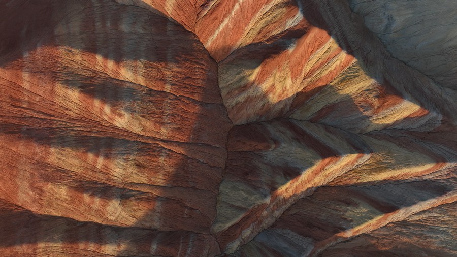 D202254պĵ߲ʵϼz