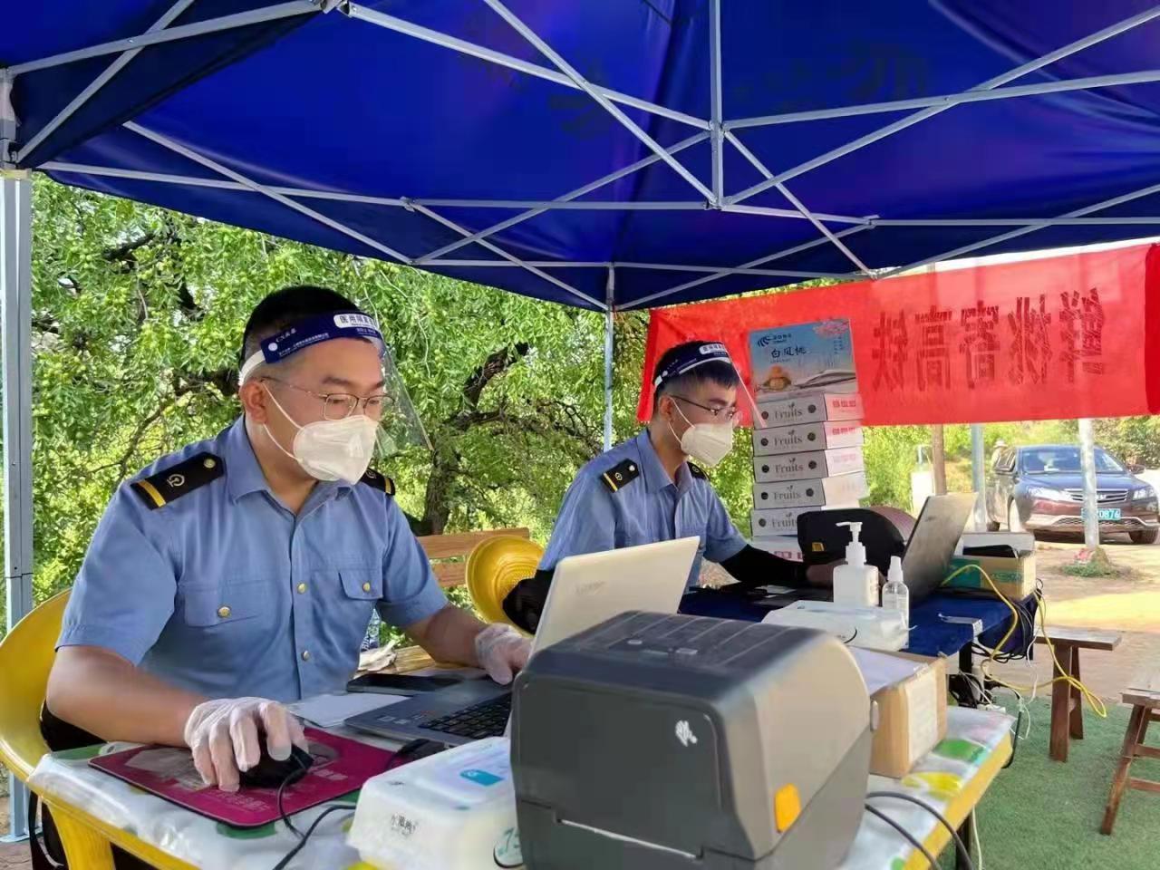 白鳳桃通過高鐵發往全國各地。宋佳龍攝