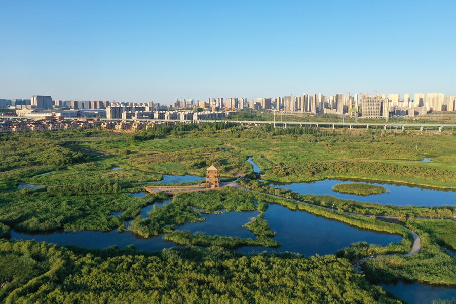 蘭州新區：十年蝶變 魅力無限。蘭州新區黨工委辦公室供圖