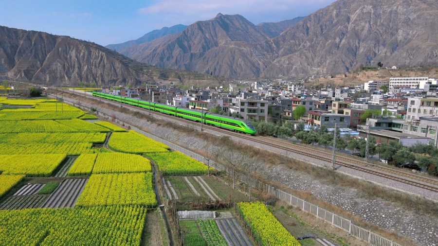 隴南市武都區萬畝油菜花競相綻放，美不勝收。隴南市融媒體中心供圖