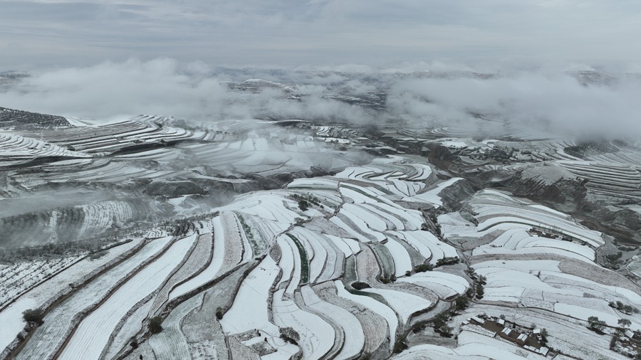 雪霽梯田壯美如畫。張文博 攝