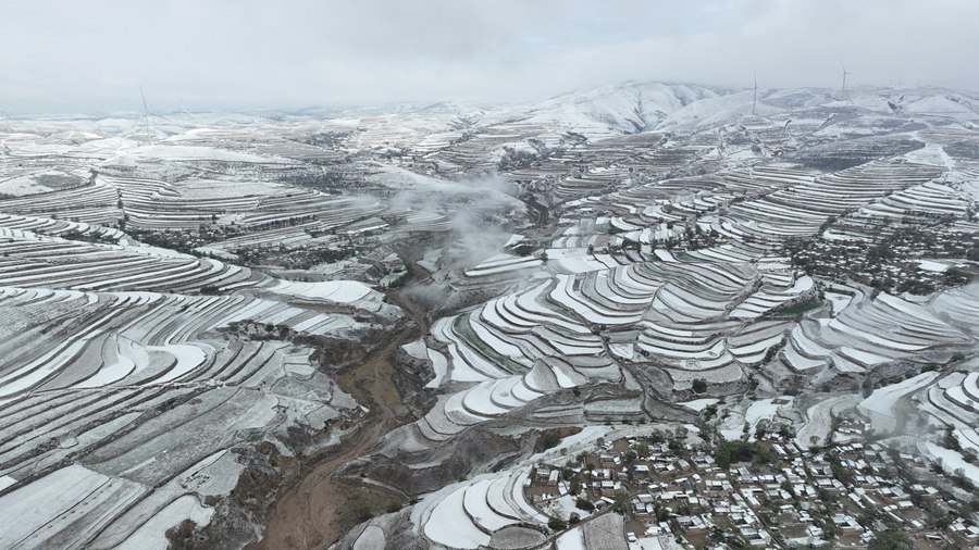雪霽梯田壯美如畫。張文博 攝