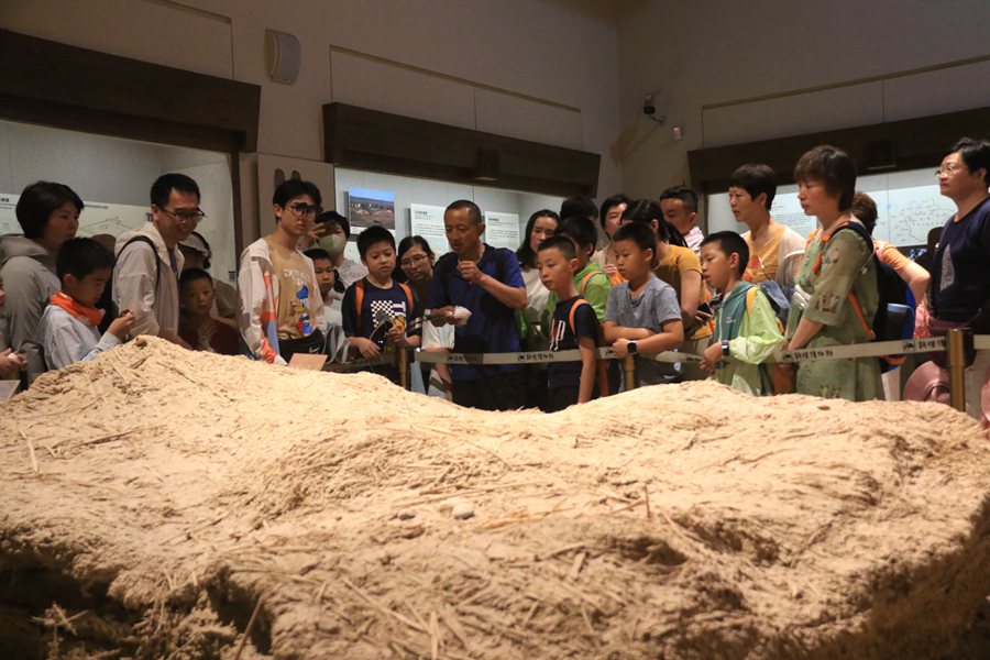 暑假期間，小朋友在家長的陪伴下，在敦煌市博物館參觀文物展。張曉亮攝