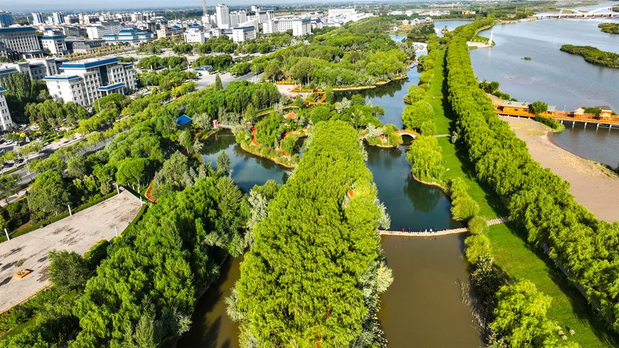 高臺國家城市濕地公園秋景美如畫。屈昶攝