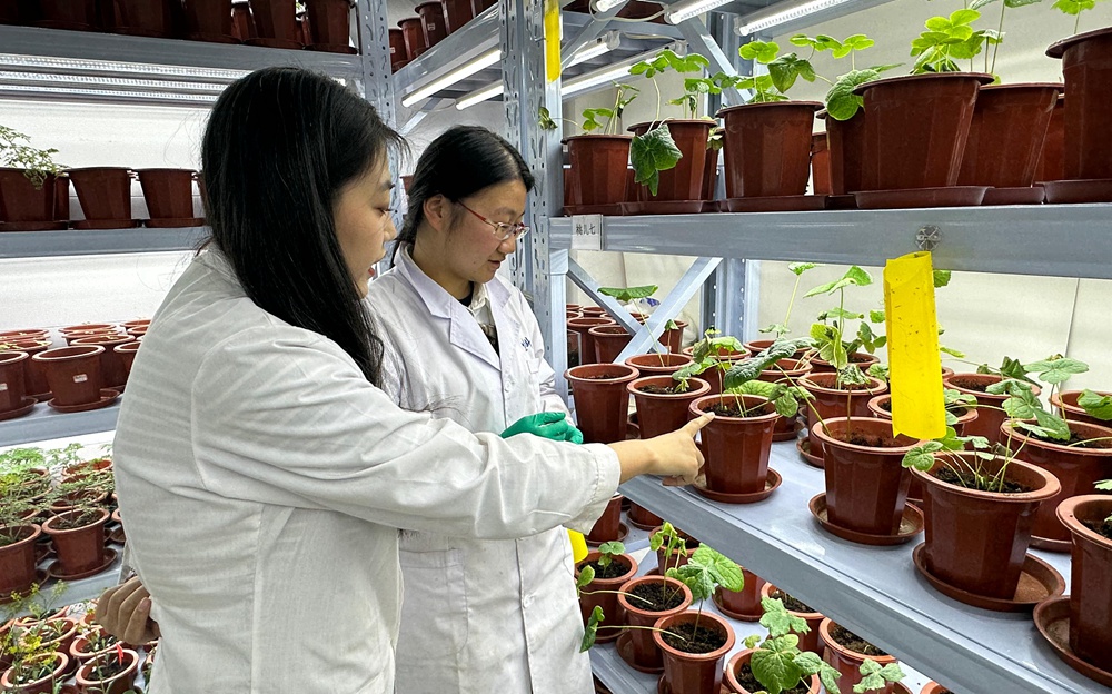 甘肅：校企院融合發展 打造高能級產業研究院