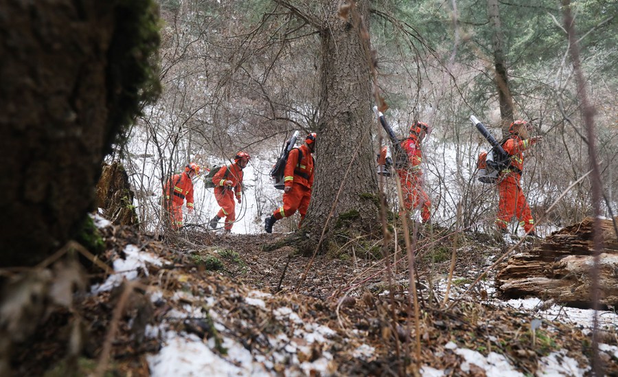 森林消防隊員在興隆山自然保護區巡護。裴海博攝