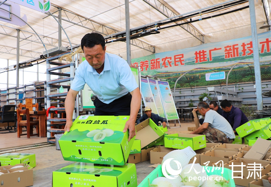 瓜農正在整理打包好的白蘭瓜。人民網記者 王文嘉攝