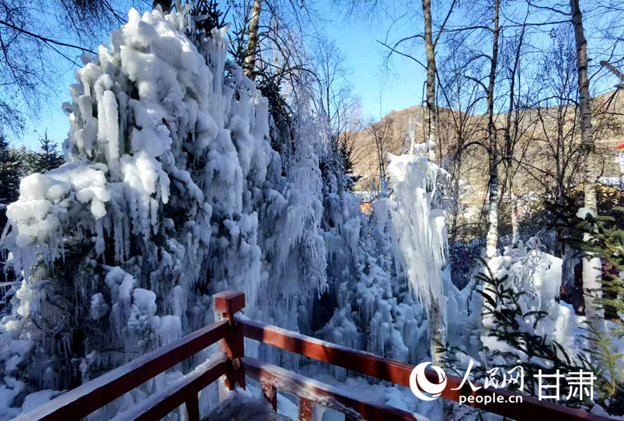 甘肅康樂："冷冰雪"帶動"熱經濟" 邂逅冬日最美白樺林【5】