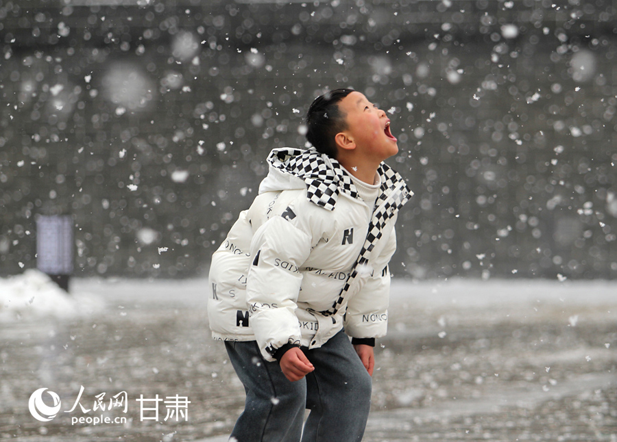 新春走基層|甘肅禮縣：瑞雪迎佳節 賞雪戲雪樂開懷【6】