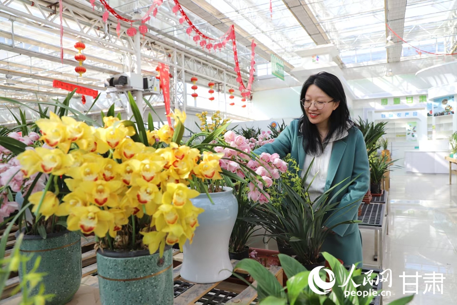 游客在蘭州新區花卉交易中心選購鮮花。人民網記者 黃帆攝