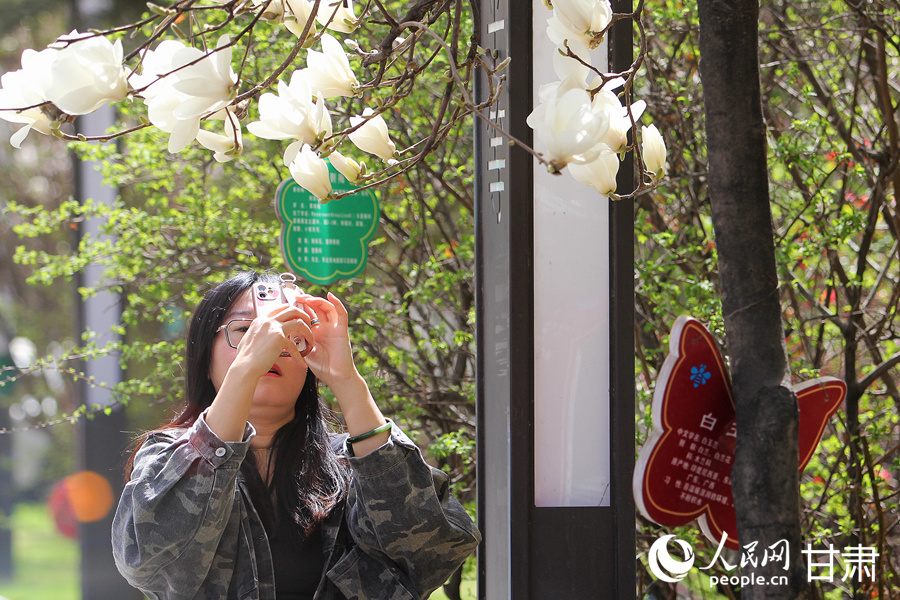 賞花正當時|漫步金城春日“花路”【8】