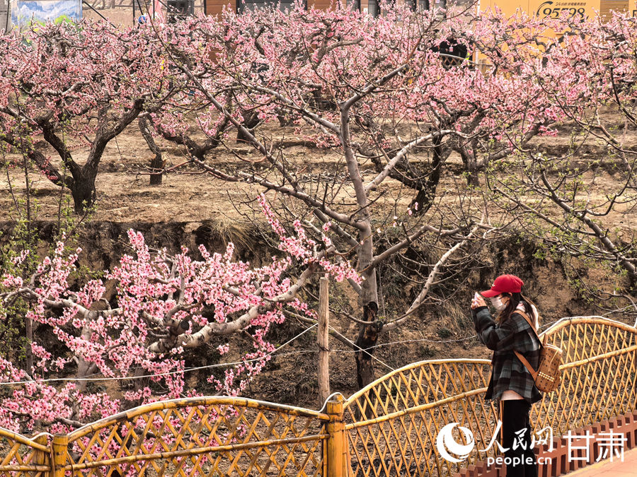 游客正在劉坪鎮秦洼桃花堡景區賞花。