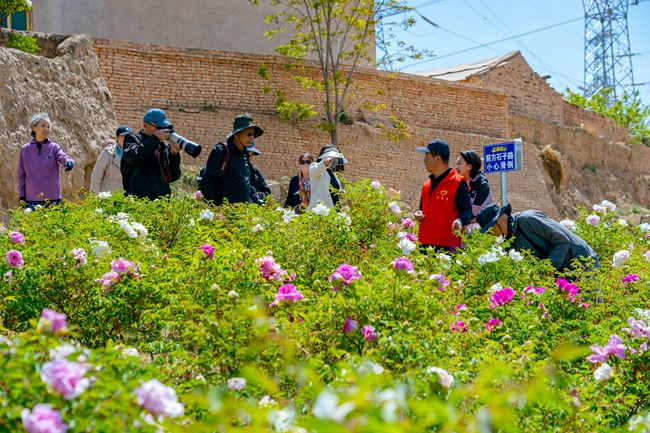 游人踏青賞花。榆中縣委宣傳部供圖