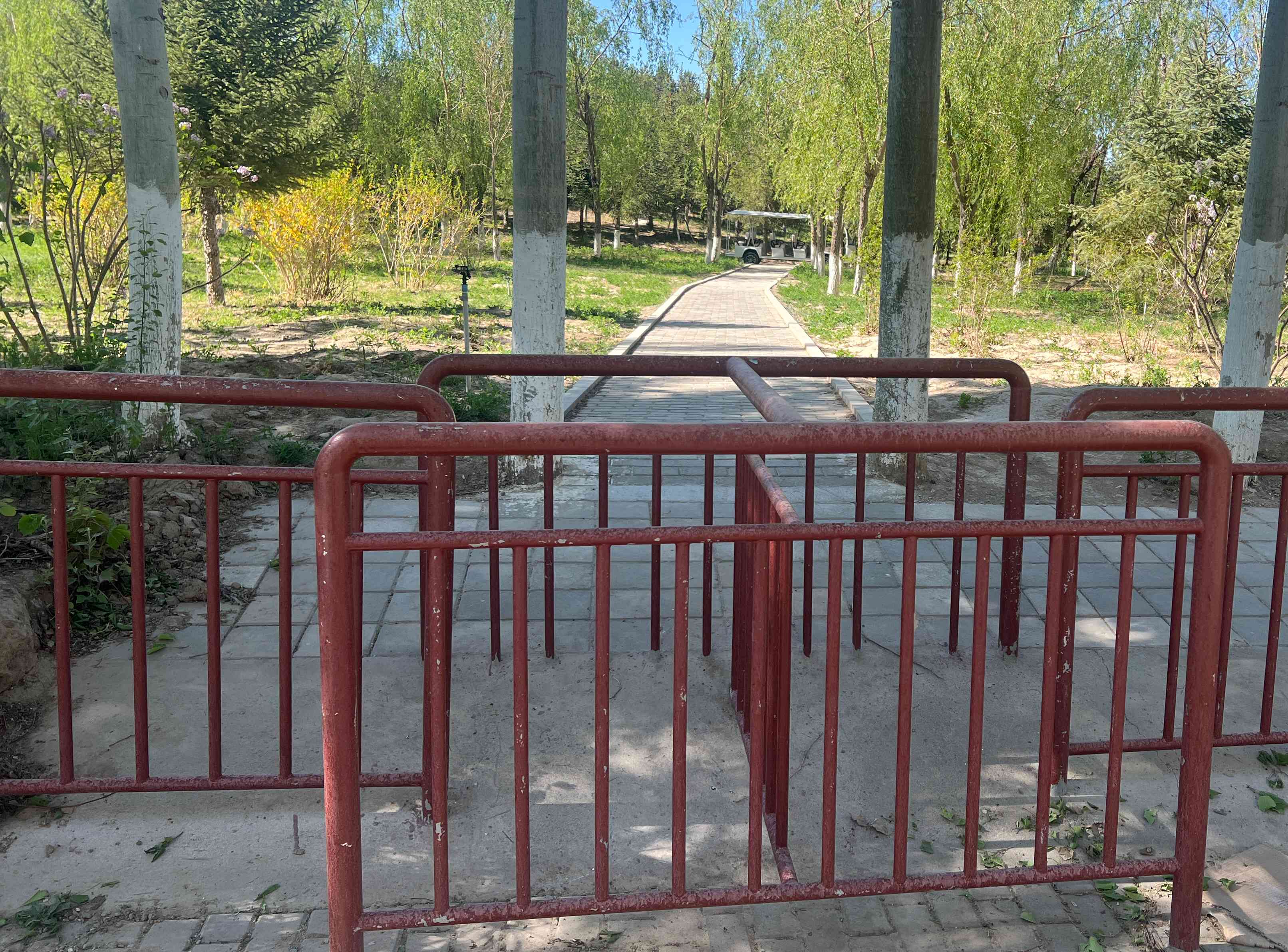 圖為東湖生態公園新建設的出入口。東湖生態旅游景區供圖