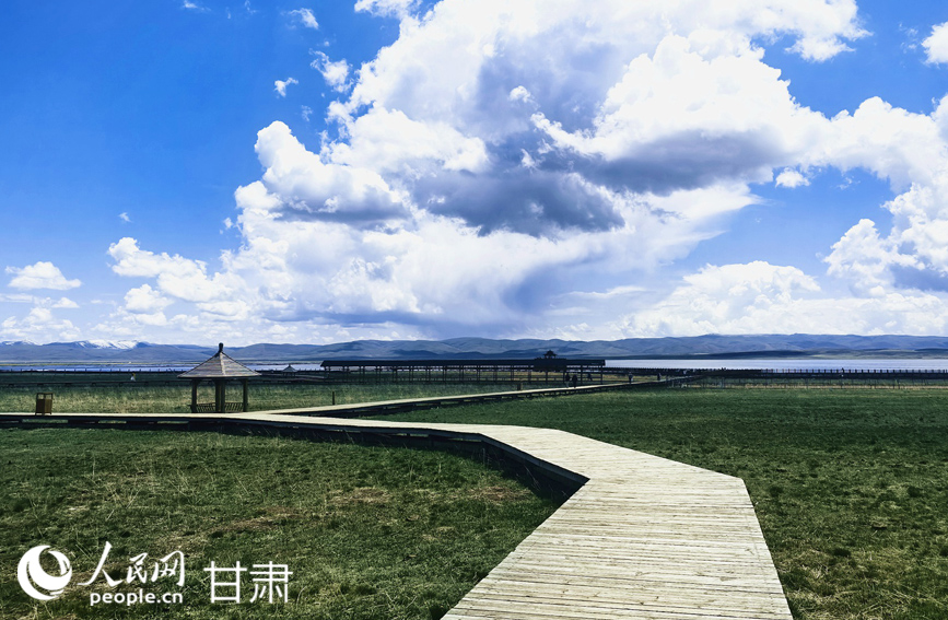 藍天白云下的濕地畫卷。人民網記者 周婉婷攝