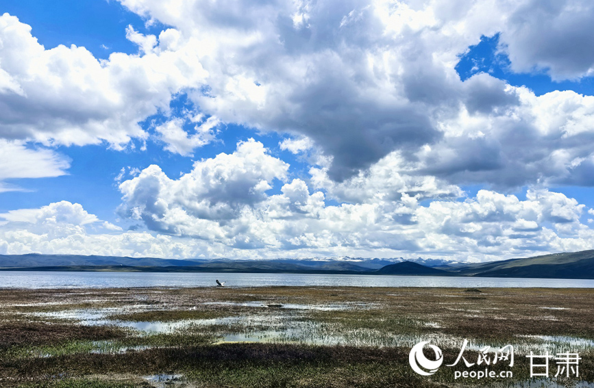 藍天白云下的濕地畫卷。人民網記者 周婉婷攝
