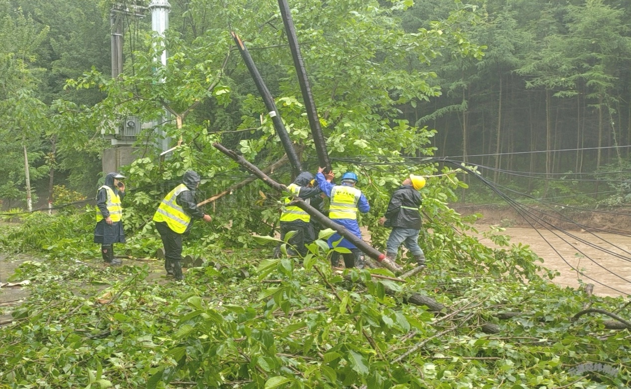 電信工作人員清理受損桿路。周穆塵攝
