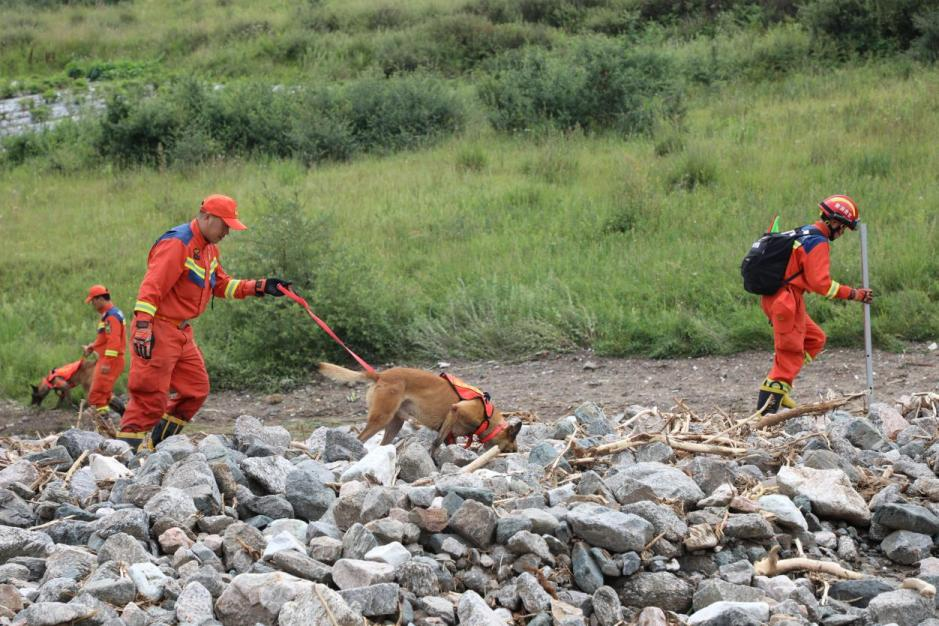 8月10日11時，消防救援人員攜帶搜救犬在榆中縣馬坡鄉馬蓮灘村，利用氣味搜集管等裝備器材分組對受災區域展開地毯式排查。甘肅消防供圖