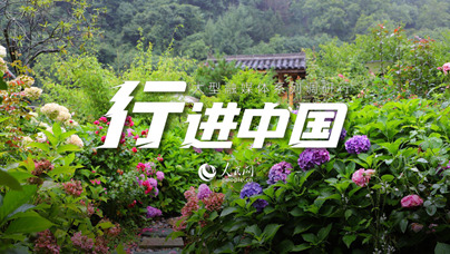 去山水文縣，住“花房”民宿近年來，隴南市著力構建“大景區+全域鄉村游”發展格局，把發展鄉村旅游民宿作為推動文旅康養產業提檔升級的一項有效舉措。