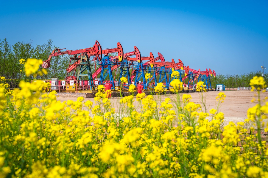 八月的合水油田，井景交融、綠意醉人。長慶油田采油十二廠黨委宣傳部供圖