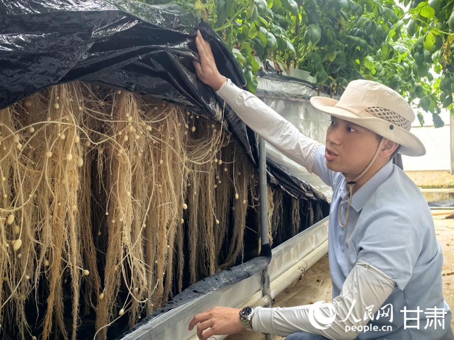 定西馬鈴薯研究所霧培生產原原種。人民網記者 周婉婷攝