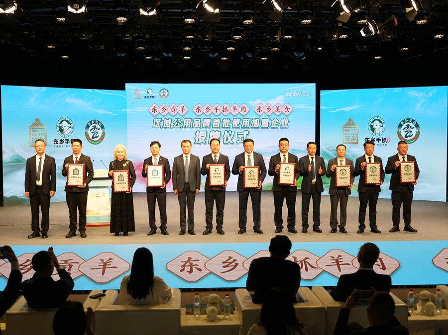 發布會現場。東鄉縣委宣傳部供圖