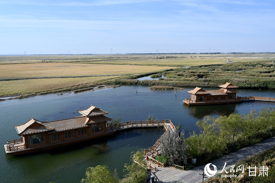 甘肅酒泉：祁連葦海蕩碧波【3】