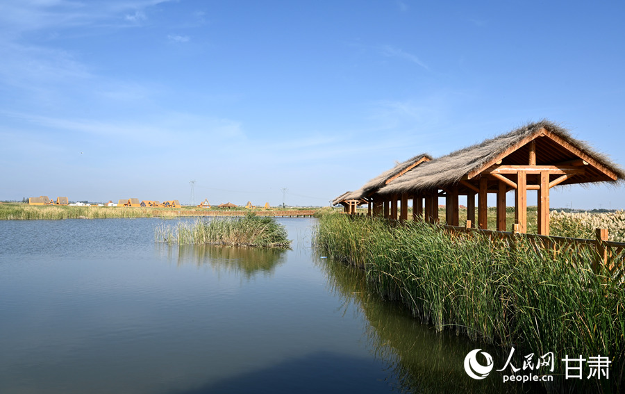 甘肅酒泉：祁連葦海蕩碧波【6】