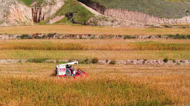 田間轟鳴的農機。榆中縣委宣傳部供圖