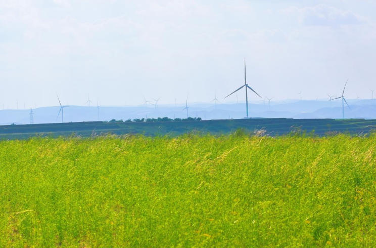 隴東綠電0.003秒內被送至齊魯大地。王佑攝
