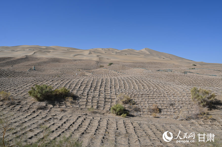 莫高窟窟頂草方格沙障。人民網 席娟娟攝