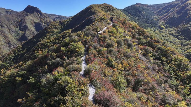 醉人的秋日盛景。永靖縣委宣傳部供圖