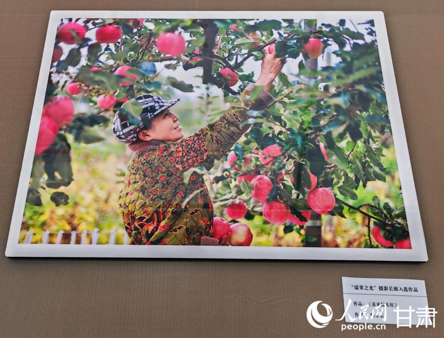 “瑞果之光”攝影長廊展示作品。人民日報記者 銀燕攝