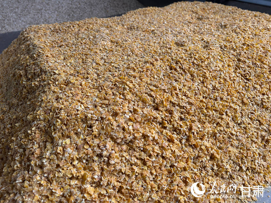 養殖場內經過蒸汽壓片處理的玉米壓片精細飼料。人民網記者 焦隆攝